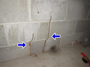 Termite issues found during an Eastern Michigan Home Inspection
