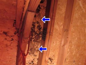 Garage water damage in an Easter Michigan Home Inspection